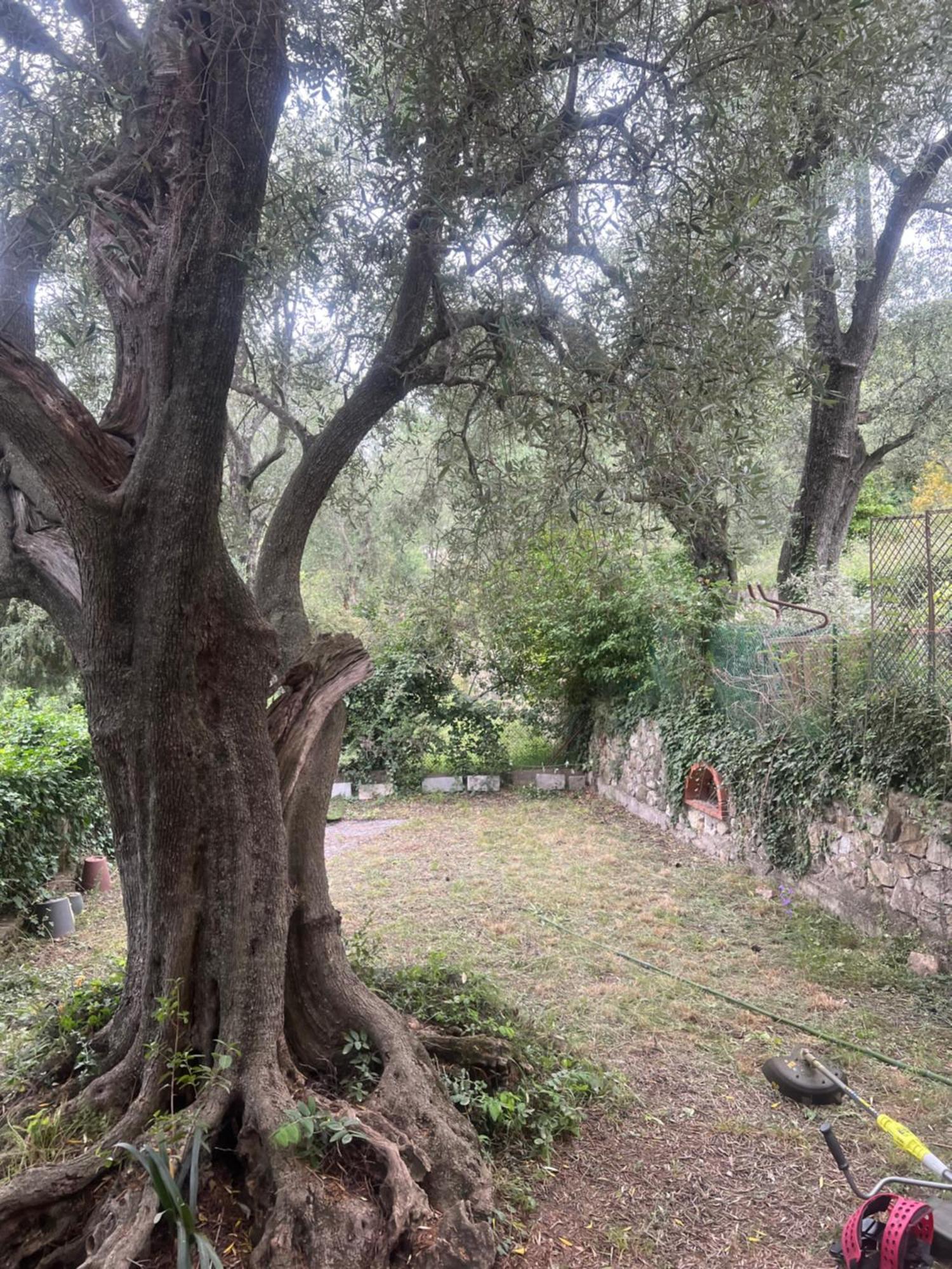 Bas De Villa Vue Mer Eze Village Eksteriør bilde