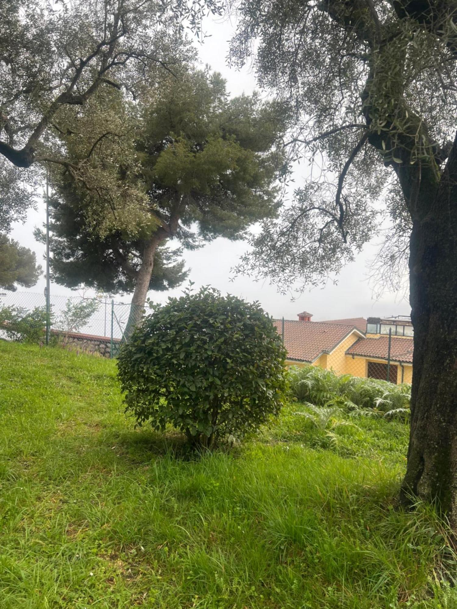 Bas De Villa Vue Mer Eze Village Eksteriør bilde