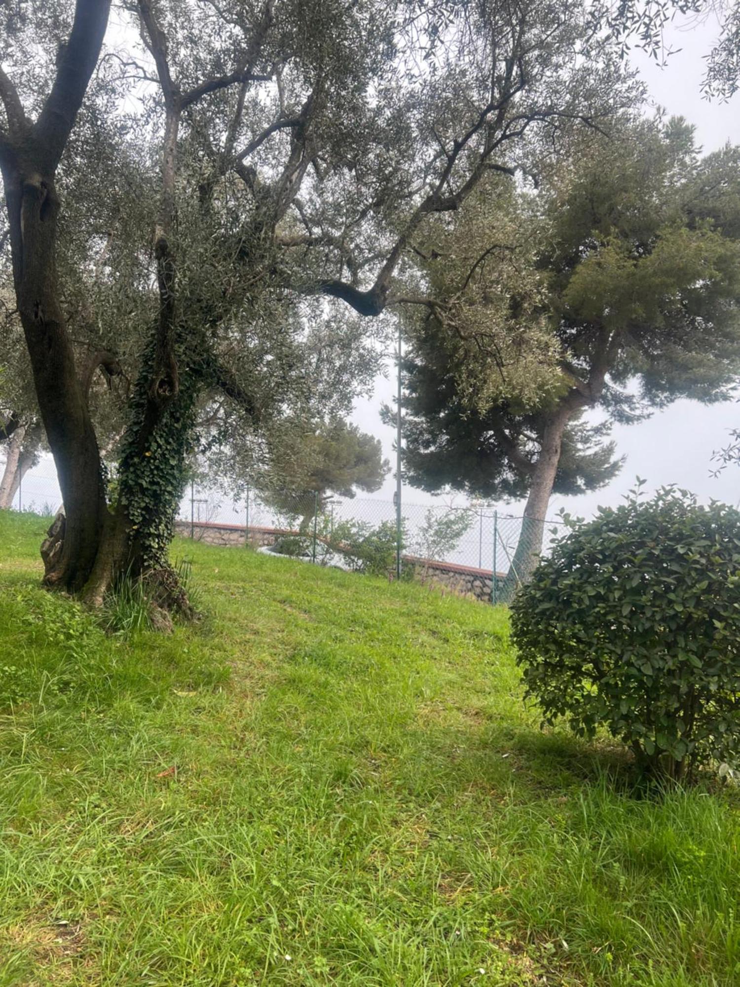 Bas De Villa Vue Mer Eze Village Eksteriør bilde